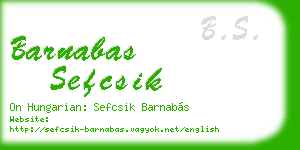 barnabas sefcsik business card